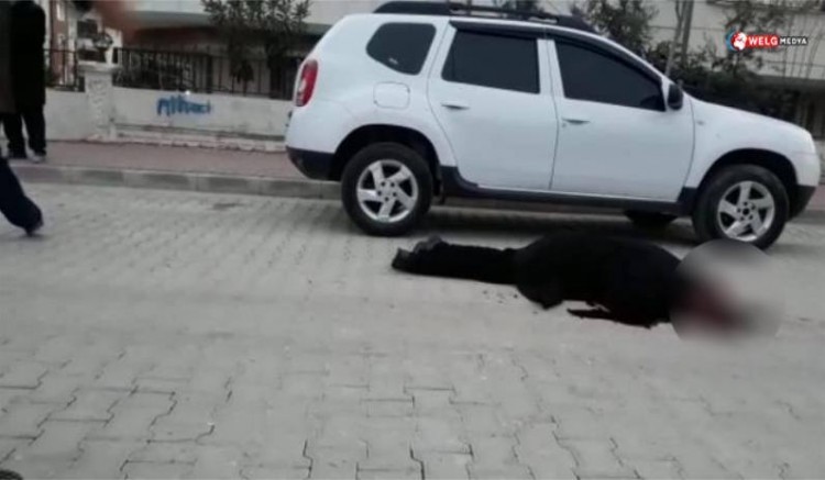 Urfa’da sokak ortasında yaşamına son verdi