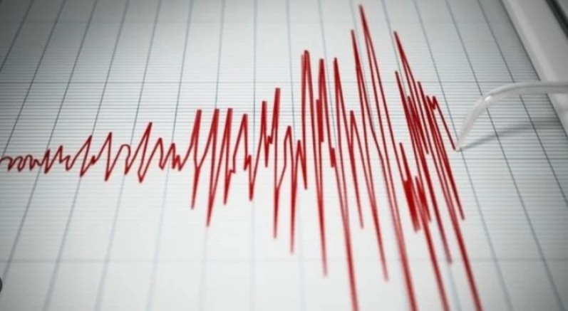 Vanuatu'da 7.3 Büyüklüğünde Deprem: Tsunami Uyarısı Yapıldı