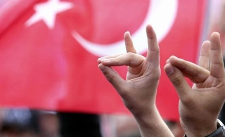 Viyana’da Bozkurt işareti yapan 4 Türk şoför işlerinden kovuldu 