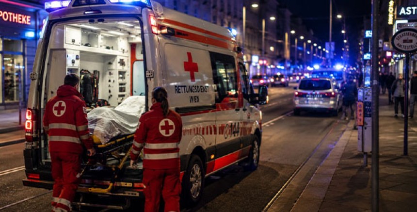 Viyana'da Havai Fişek Faciası: Üç Çocuk Yaralandı