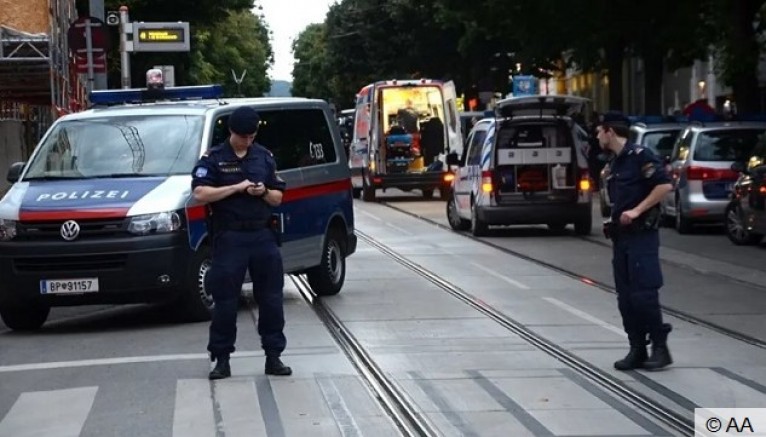 Wiener Neustadt'ta yaşanan olayın detayları giderek netleşiyor