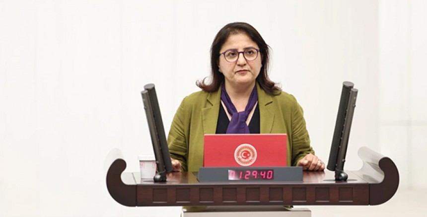 YSP’li Ayten Kordu, Dersim Köy Yollarını Meclise Taşıdı 