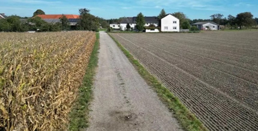 Yukarı Avusturya’da Köpek Tarafından ısırılan kadın yaşamını yitirdi