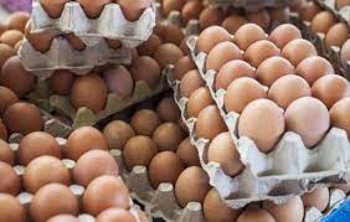 Yumurta zammı için şikayet yağmıştı: Müfettiş görevlendirildi