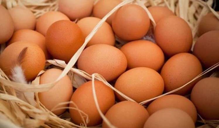 Yumurtaya Büyük Zam 